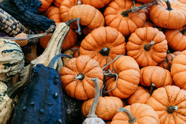 Pumpkin & Fall Porch Décor
