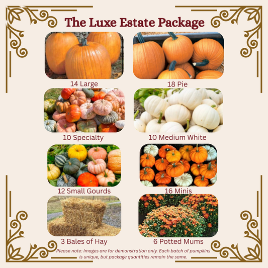 The Luxe Estate Package