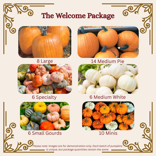 The Welcome Package